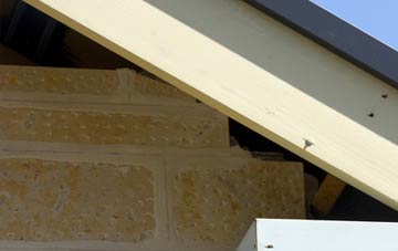 soffit repair Rhodesia