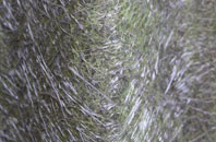 Rhodesia fibreglass roof work